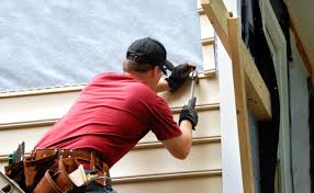 Best Siding Painting and Refinishing  in Lexington, TN